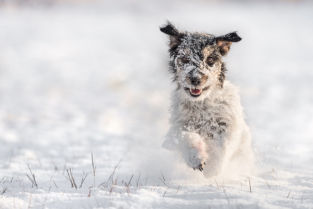 5. Platz Karoline Thalhofer